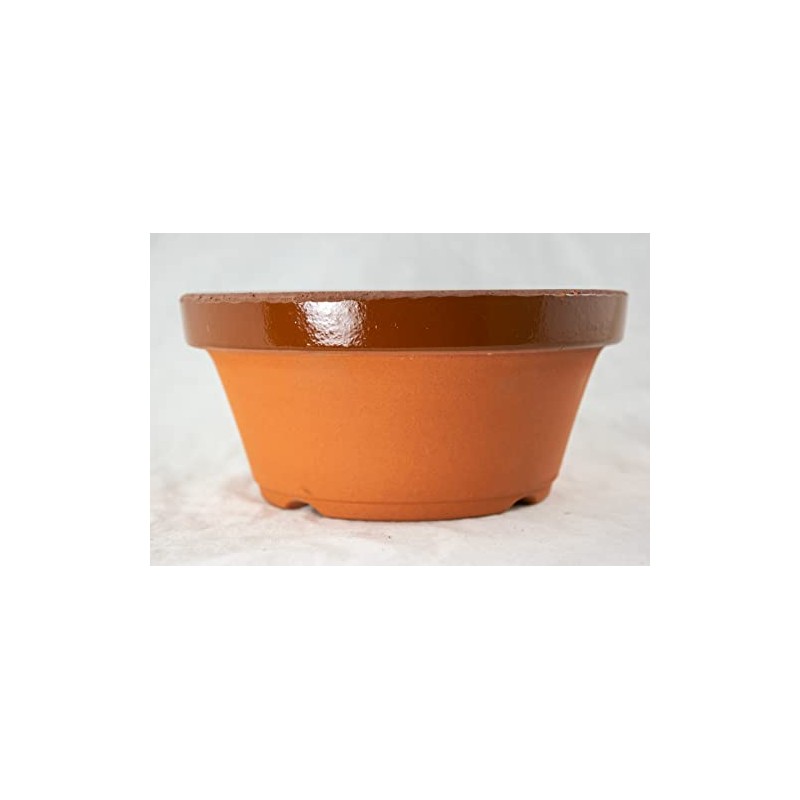 Japanese Tokoname Bonsai Training Pot, Cactus & Succulent Planter with