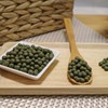 Chamdoori moringa pills 500g powder, etc. / 참두리 모링가환 500g분말