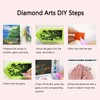 Muzagroo Art 5D Diamond Painting Kits for Adults, Aurora Diamond