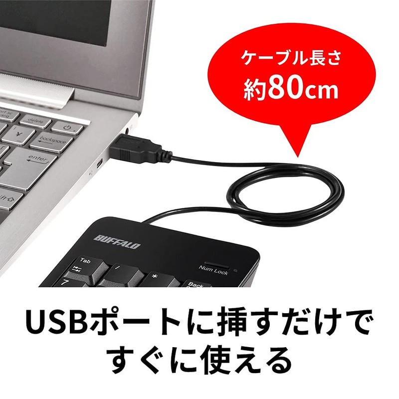 Buffalo BSTK120BK Wired Numeric Keypad with Anti-Microbial and Tab Key