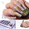 Solid Mirror Chrome Nail Pigment Collection 1
