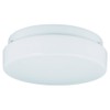 Generation Lighting 7926BLE-15 2-Light Fluorescent Ceiling Fixture, Acrylic White Diffuser