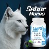 Aminoácidos En Polvo Linx Fit 1kg 200servicios Variossabores