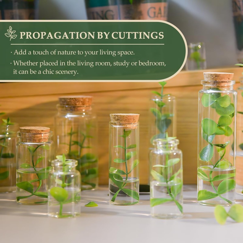 55 pcs 20 ml Glass Bottle Cork Mini,Jars with Cork