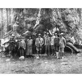 Theodore Teddy Roosevelt John Muir Yosemite 8 x 10 Photo Picture Photograph