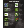 Vegetal Safe Hair Color - Soft Black 50gm - Certified