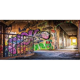 Yeele 15x8ft Urban Street Graffiti Wall Backdrop Retro Abandoned School Building Photography Background for Children Kids Adult Portrait Photo Booth Shoot Vinyl Studio Props