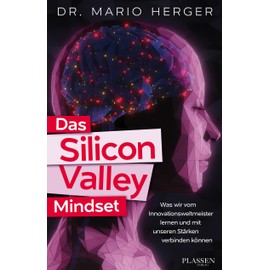 Das Silicon-Valley-Mindset: Was wir vom Innovationsweltmeister lernen und mit unseren Stärken verbinden können