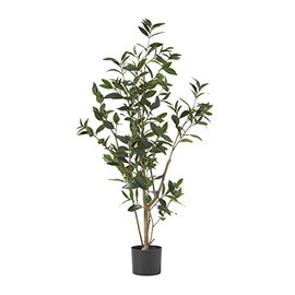 Christopher Knight Home Atoka Artificial Laurel Tree, 4' x 1.5', Green, Black
