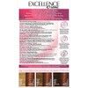 L'Oréal Paris Excellence 6.41 hair colour - Light Amber Bronze