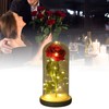 Rose in Glass Dome Lucky Beautiful Symbolism Romantic Enchanted Rose