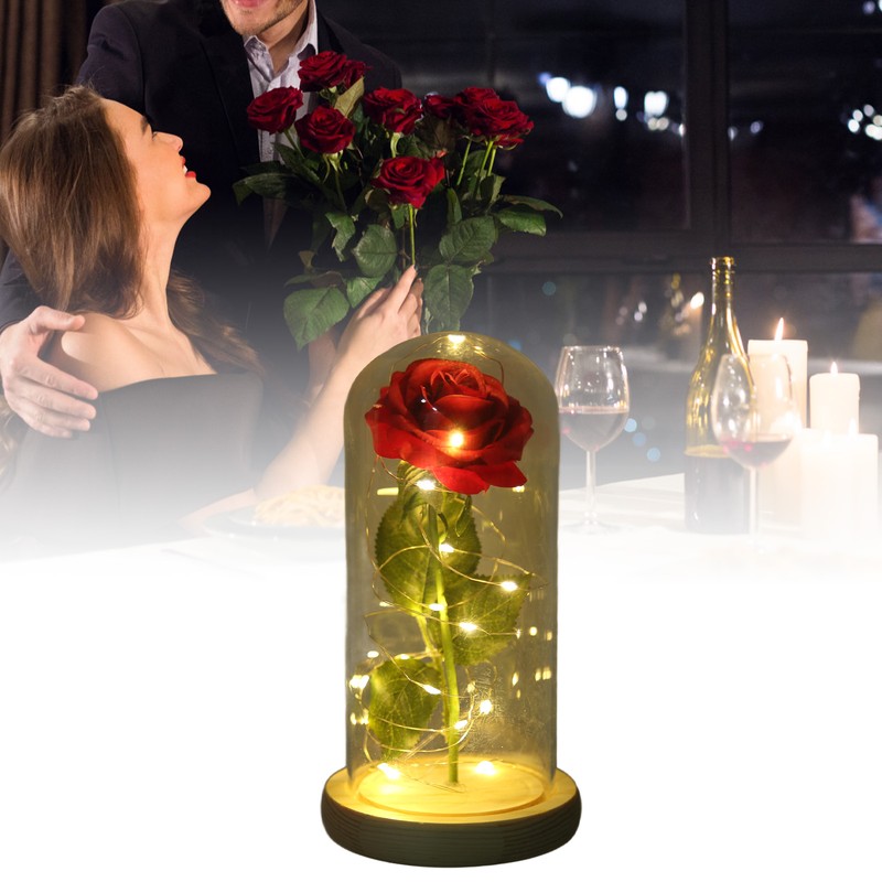 Rose in Glass Dome Lucky Beautiful Symbolism Romantic Enchanted Rose
