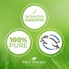 Plant Therapy Nutmeg Essential Oil 10 mL (1/3 oz) 100%