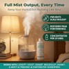 Think Crucial Humidifier Descaler – Effective White Dust Removal