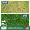 Turf Titan Lawn Advancer Fast-Acting Liquid Lawn Fertilizer (32 oz)
