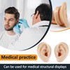 2 Pcs Silicone Ear Model, Fake Ear Models Left and