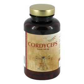CORDYCEPS Extract 500 mg Capsules Pack of 100