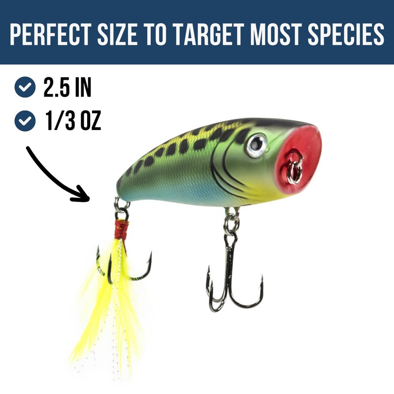 Lunkerhunt Impact Crush | Popper Fishing Lure, Hard Bait Fishing