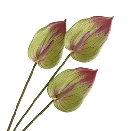 3Pcs Artificial Anthurium Lily Flowers for Home Decor Dining Table Centerpiece Prom Party Decor (Green)