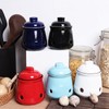 HAOTOP Ceramic Mini Garlic Keeper with Lid, Garlic Container Saver