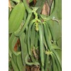 Vanilla Products USA Extracto de Madagascar Grado B Bourbon Vanilla