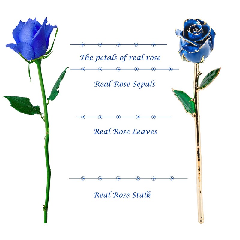 MAXSPT Mom Gifts Gold Rose,Gold Dipped Rose Made from Real