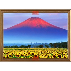 絵画風 壁紙ポスター （はがせるシール式） 赤富士 朝焼けの富士山と向日葵畑 ひまわり 幸運 開運 縁起物 風水 パワースポット 【額縁印刷／トリックアート】 キャラクロ FJS-033SGB2 （594mm×436mm） 建築用壁紙＋耐候性塗料 ＜日本製＞ ウォールステッカー お風呂ポスター