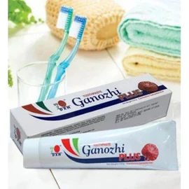 DXN Toothpaste plus organic(mushroom)150g