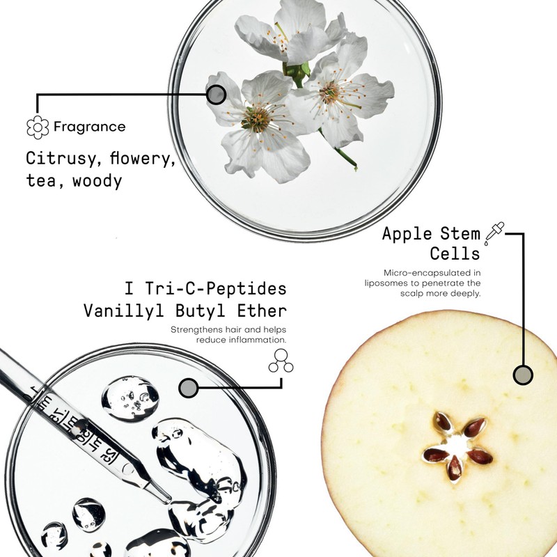 Framesi Morphosis Hair Treatment Line Densifying Shampoo 250 ml