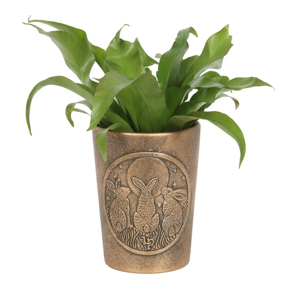Something Different Wholesale Lisa Parker Moon Shadows Bronze Terracotta Plant