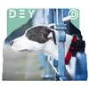 DEY - Premium Air Mesh Dog Collar | Adjustable |