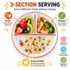 8-Inch Bone China Divided Plate for Breakfast & Meals –