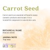 Aura Cacia Carrot Seed Essential Oil | GC/MS Tested for