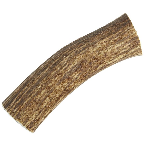 Happy Dog of Cape Cod Large Whole Elk Antler