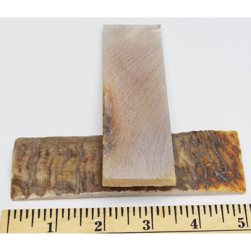 Whole Earth Supply 5 inch Ram Horn Handle Making Knife