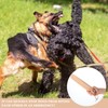 Barydat 2 Pcs Break Stick Dog Fight 10.04'' x 1.77''