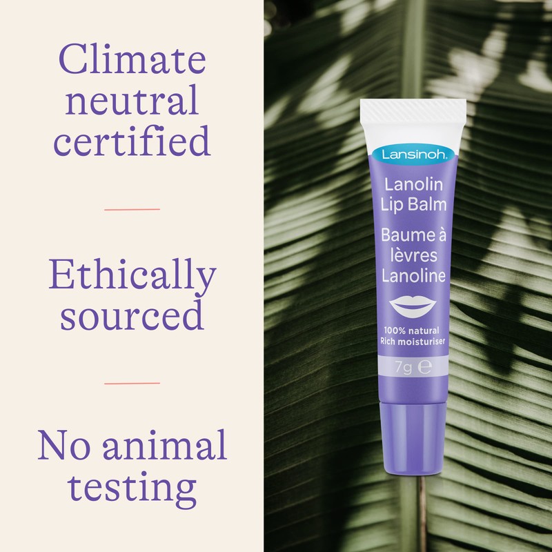 Lansinoh Lanolin Lip Balm - Soothes and Protects Dry &