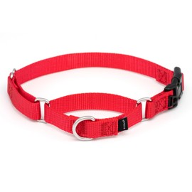 PetSafe Martingale Dog Collar with Quick Snap Buckle - No Pull Dog Collar for Walking Control - Gentle Correction - Durable Nylon Material - Adjustable No-Slip Collar - Red - Medium - 1 Inch Wide