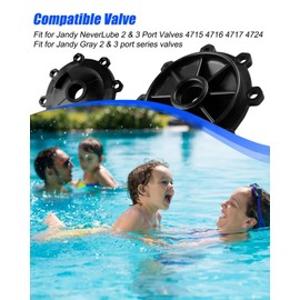 2 and 3 Port Pool Valve Rebuild Kit Fits for Jandy 2 and 3 way 4715 4716 4717 4724 Valves, Fits for Gray Series Valves, Include Diverter Valve 4720 Cover 4606 Handle 7433, 2 PCS