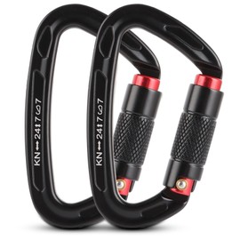 GBACHOOSE 2 Stück Kletterkarabiner, Karabinerhaken, 25KN Karabinerhaken Schwerlast für Klettern, Camping, Hängematte, Schaukel