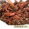 Shikakai (Acacia Concinna) Oil 100% Natural & Pure Undiluted Uncut