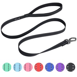 EXCELLENT ELITE SPANKER Strong Durable Nylon Dog Training Leash Traction Rope 4 Feet Long 3/4" Wide with Handle for Small Dogs(Black)