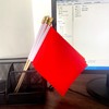 TSMD 16 Pack Solid Red Blank Flag Small Mini Plain