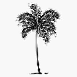 MAGNET Palm Tree Magnet Bumper Sticker Car Magnet Flexible Reuseable Magnetic Vinyl 5"