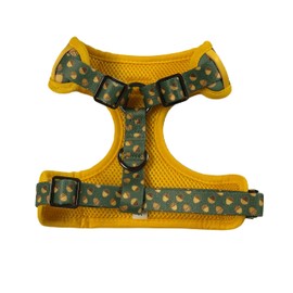 Very Vintage- No Pull Adjustable Dog Harness with 2 Heavy Duty D Rings- Padded Colorful Pet Vest Arnes para Perros Made of Eco-Friendly Material Easy to Put on & Take Off (M, Acorns)