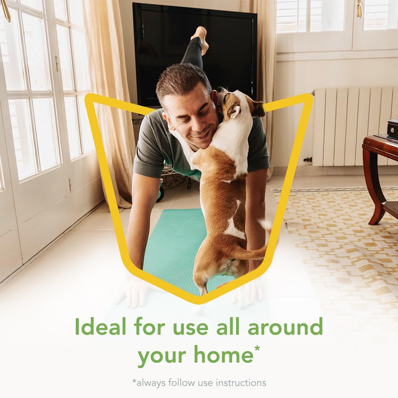 Raid Essentials Multi-Insect Killer Spray Bottle, Child & Pet Safe,