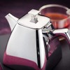 Stellar Plaza 0.6L Teapot