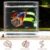 4pcs Betta Fish Leaf Pad, Betta Leaf Hammocks with Suction