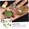 CIYODO 2 Sets Creative Simulation Frog Turtle Growth Model Animal