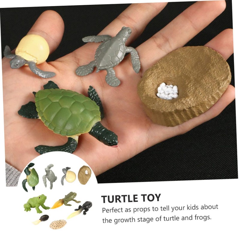 CIYODO 2 Sets Creative Simulation Frog Turtle Growth Model Animal